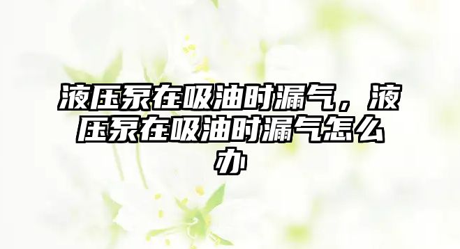 液壓泵在吸油時漏氣，液壓泵在吸油時漏氣怎么辦