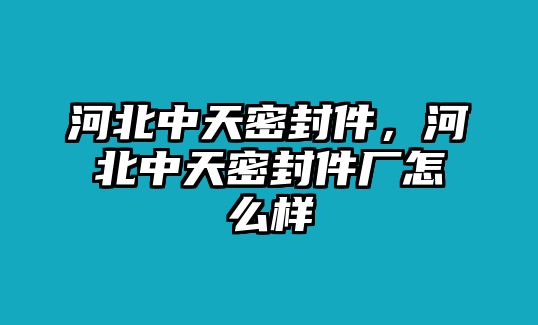 河北中天密封件，河北中天密封件廠怎么樣