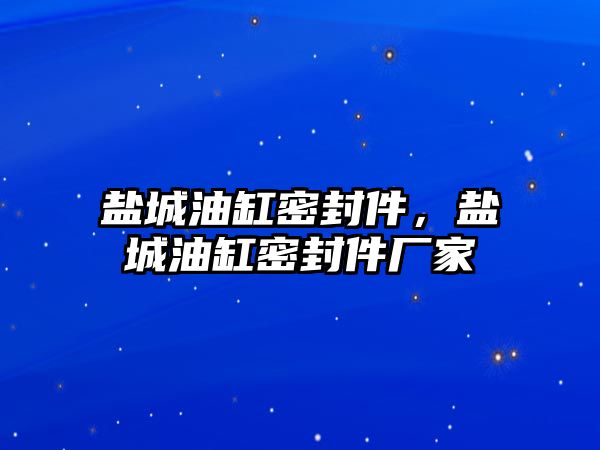 鹽城油缸密封件，鹽城油缸密封件廠家