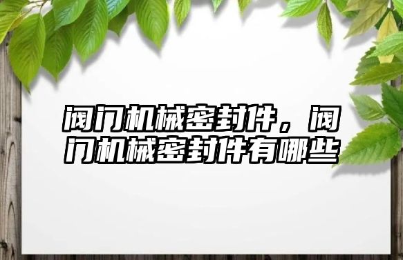 閥門機械密封件，閥門機械密封件有哪些