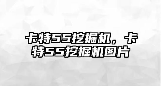 卡特55挖掘機(jī)，卡特55挖掘機(jī)圖片