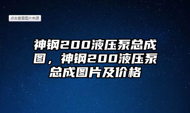 神鋼200液壓泵總成圖，神鋼200液壓泵總成圖片及價(jià)格