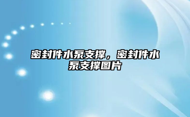 密封件水泵支撐，密封件水泵支撐圖片