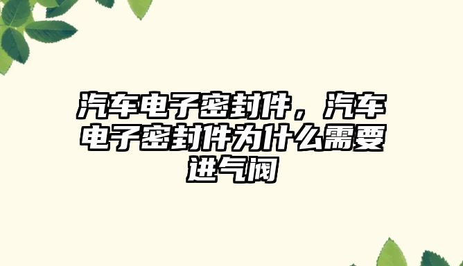 汽車電子密封件，汽車電子密封件為什么需要進氣閥