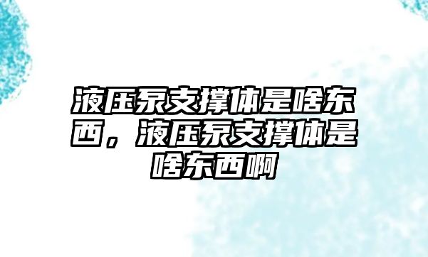 液壓泵支撐體是啥東西，液壓泵支撐體是啥東西啊