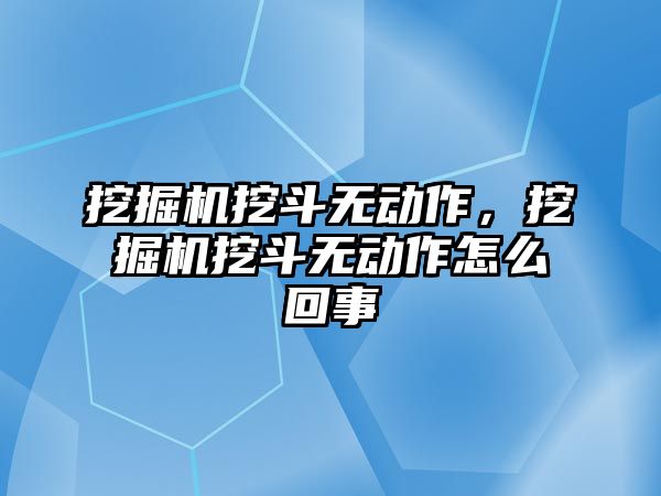 挖掘機挖斗無動作，挖掘機挖斗無動作怎么回事