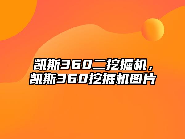 凱斯360二挖掘機(jī)，凱斯360挖掘機(jī)圖片