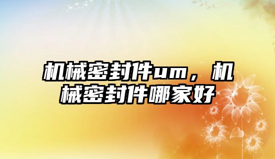 機械密封件um，機械密封件哪家好