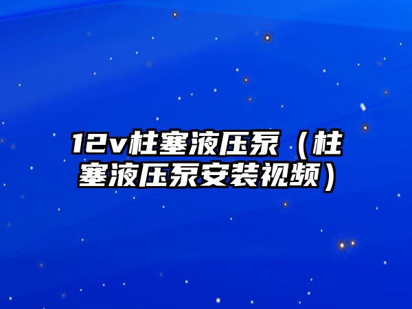 12v柱塞液壓泵（柱塞液壓泵安裝視頻）