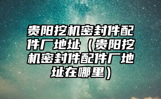 貴陽挖機密封件配件廠地址（貴陽挖機密封件配件廠地址在哪里）