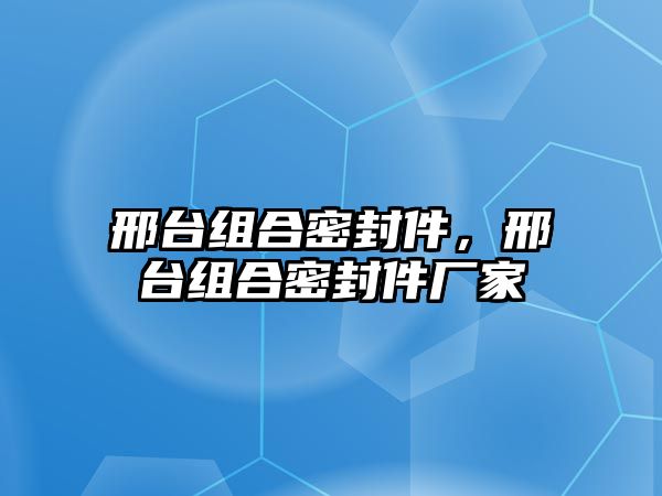 邢臺(tái)組合密封件，邢臺(tái)組合密封件廠家