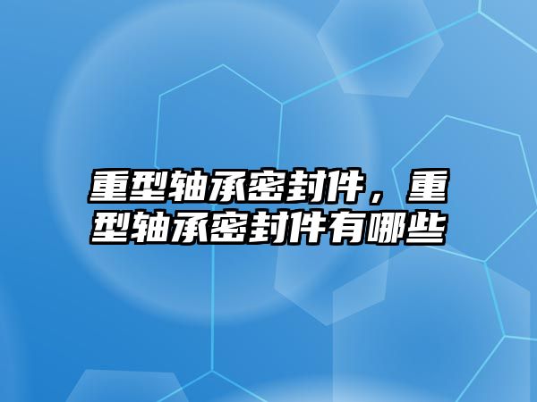 重型軸承密封件，重型軸承密封件有哪些