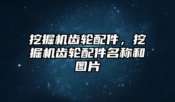 挖掘機齒輪配件，挖掘機齒輪配件名稱和圖片