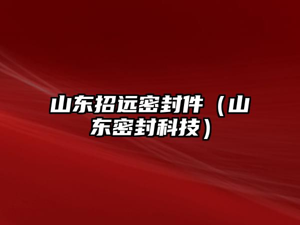 山東招遠密封件（山東密封科技）