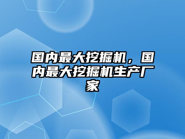 國內(nèi)最大挖掘機，國內(nèi)最大挖掘機生產(chǎn)廠家