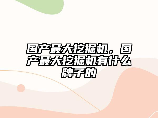 國產(chǎn)最大挖掘機(jī)，國產(chǎn)最大挖掘機(jī)有什么牌子的