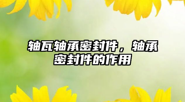 軸瓦軸承密封件，軸承密封件的作用