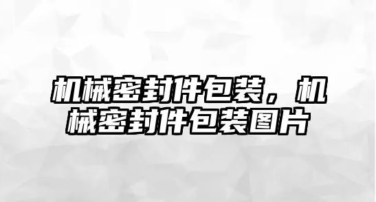 機(jī)械密封件包裝，機(jī)械密封件包裝圖片