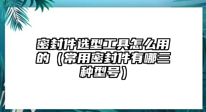 密封件選型工具怎么用的（常用密封件有哪三種型號）