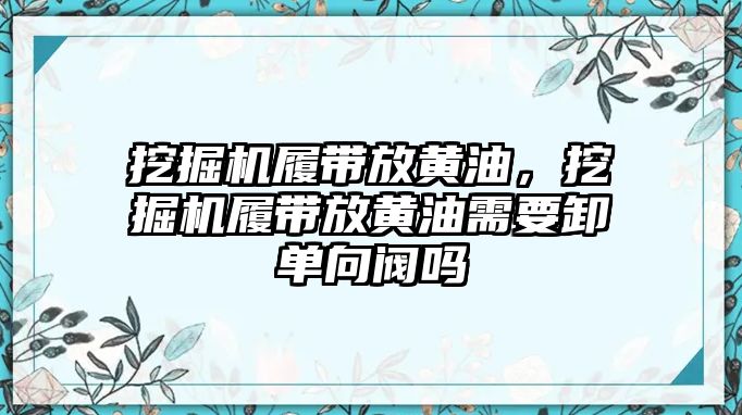 挖掘機履帶放黃油，挖掘機履帶放黃油需要卸單向閥嗎