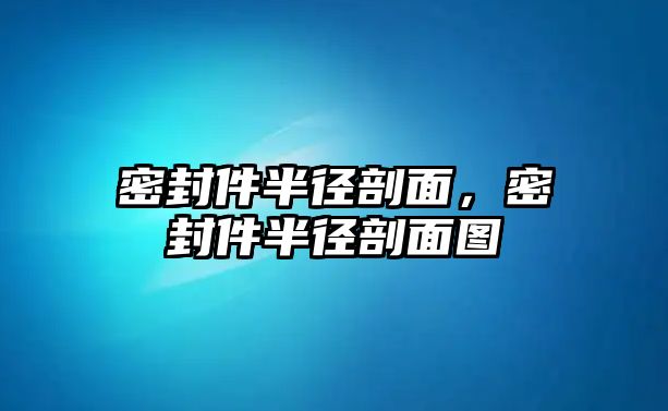 密封件半徑剖面，密封件半徑剖面圖