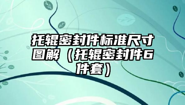 托輥密封件標準尺寸圖解（托輥密封件6件套）