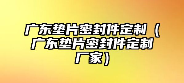 廣東墊片密封件定制（廣東墊片密封件定制廠家）