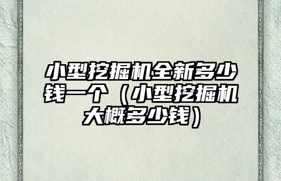 小型挖掘機(jī)全新多少錢(qián)一個(gè)（小型挖掘機(jī)大概多少錢(qián)）