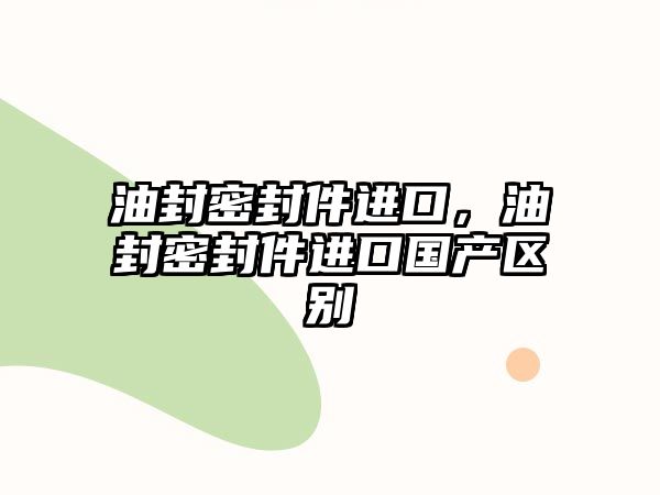 油封密封件進口，油封密封件進口國產(chǎn)區(qū)別