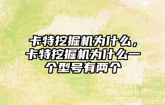 卡特挖掘機為什么，卡特挖掘機為什么一個型號有兩個