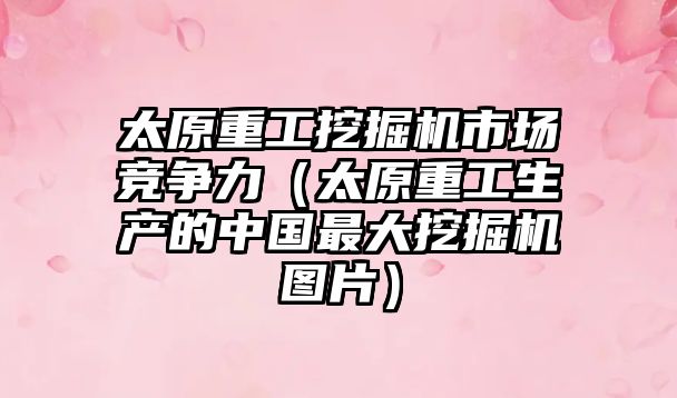 太原重工挖掘機市場競爭力（太原重工生產的中國最大挖掘機圖片）