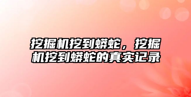 挖掘機挖到蟒蛇，挖掘機挖到蟒蛇的真實記錄