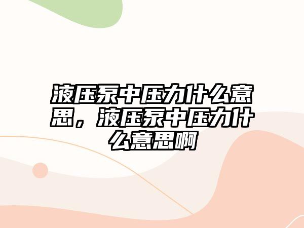 液壓泵中壓力什么意思，液壓泵中壓力什么意思啊