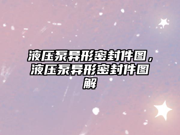 液壓泵異形密封件圖，液壓泵異形密封件圖解