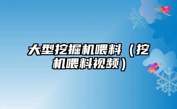 大型挖掘機喂料（挖機喂料視頻）