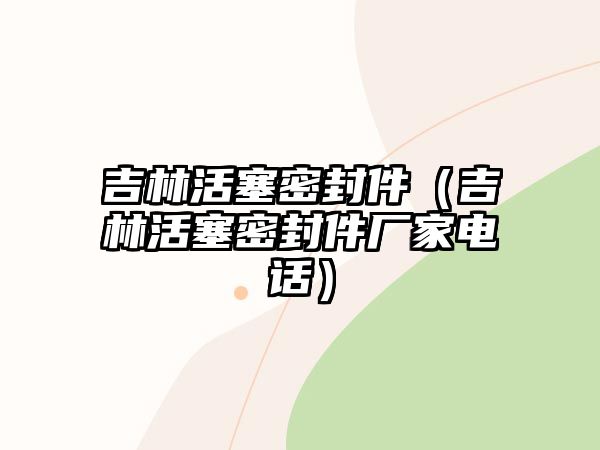 吉林活塞密封件（吉林活塞密封件廠家電話）