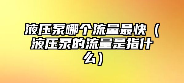 液壓泵哪個流量最快（液壓泵的流量是指什么）