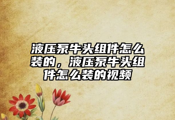 液壓泵牛頭組件怎么裝的，液壓泵牛頭組件怎么裝的視頻