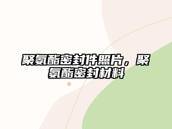 聚氨酯密封件照片，聚氨酯密封材料