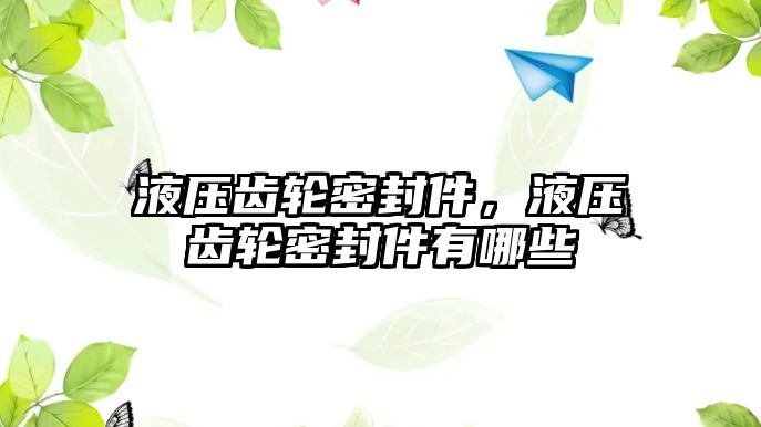 液壓齒輪密封件，液壓齒輪密封件有哪些