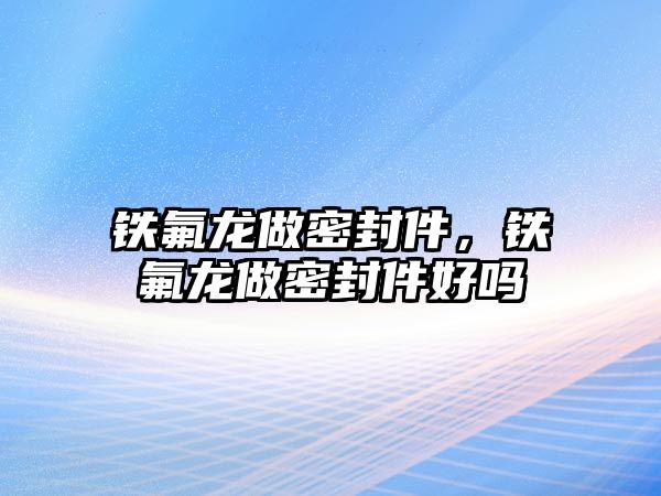 鐵氟龍做密封件，鐵氟龍做密封件好嗎