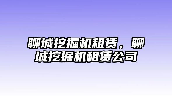 聊城挖掘機(jī)租賃，聊城挖掘機(jī)租賃公司