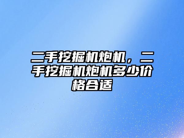 二手挖掘機炮機，二手挖掘機炮機多少價格合適