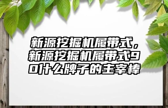 新源挖掘機(jī)履帶式，新源挖掘機(jī)履帶式90什么牌子的主宰棒