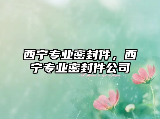 西寧專業(yè)密封件，西寧專業(yè)密封件公司