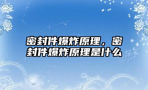 密封件爆炸原理，密封件爆炸原理是什么