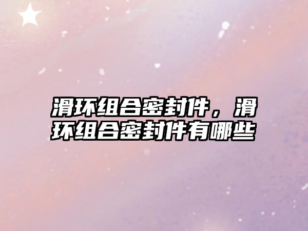 滑環(huán)組合密封件，滑環(huán)組合密封件有哪些