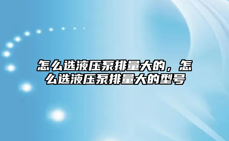 怎么選液壓泵排量大的，怎么選液壓泵排量大的型號