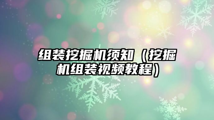 組裝挖掘機須知（挖掘機組裝視頻教程）