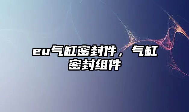 eu氣缸密封件，氣缸密封組件